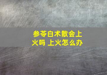 参苓白术散会上火吗 上火怎么办